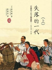 书籍 失落的一代的封面