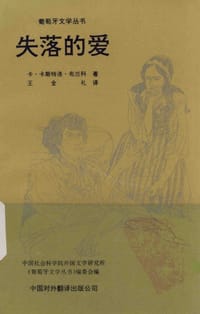 书籍 失落的爱的封面