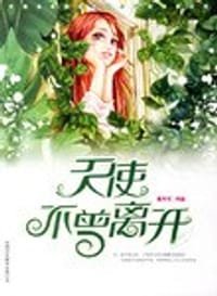 天使不曾离开