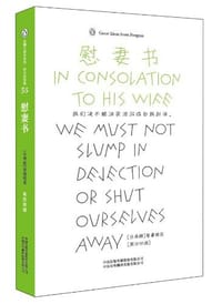 书籍 慰妻书的封面