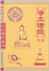 书籍 净土诸经今译的封面