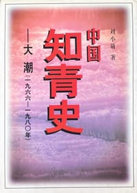 书籍 中国知青史的封面