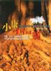 书籍 小康中国痛的封面