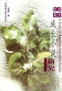 美国成长小说研究 - 芮渝萍