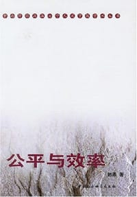 公平与效率 - 陈燕