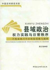 书籍 县域政治的封面