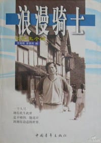 书籍 浪漫骑士的封面