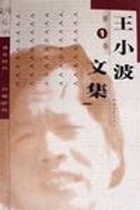 书籍 王小波文集的封面