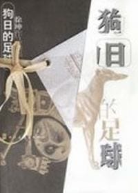 徐坤作品精华·狗日的足球