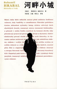 书籍 河畔小城的封面