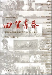 书籍 回望青春的封面