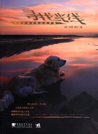 书籍 寻找光线的封面