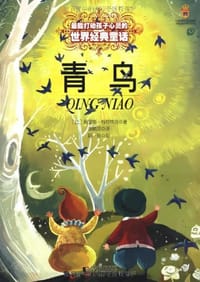 书籍 青鸟的封面
