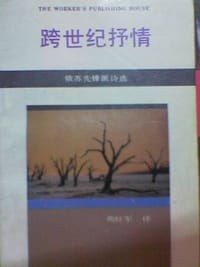 书籍 跨世纪抒情的封面