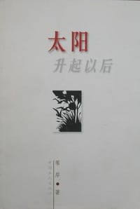 太阳升起以后 - 苇岸