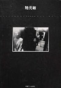 书籍 陆元敏的封面