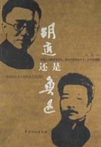 书籍 胡适还是鲁迅的封面