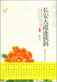 书籍 长安大道连狭斜的封面