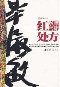 红处方 - 毕淑敏