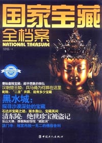 书籍 国家宝藏全档案的封面