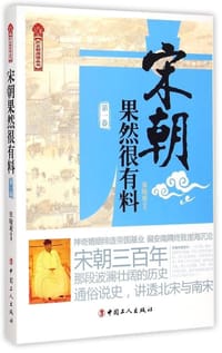 宋朝果然很有料 - 张晓珉