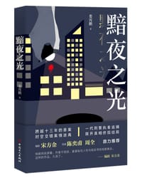黯夜之光 - 娄霄鹏