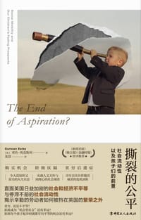 撕裂的公平