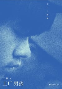 书籍 工厂男孩的封面