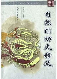 书籍 自然门功夫精义的封面
