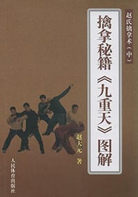 书籍 擒拿秘籍《九重天》图解的封面