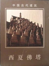 书籍 西夏佛塔的封面