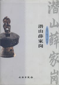 潜山薛家岗