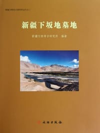 新疆下坂地墓地 - 新疆文物考古研究所