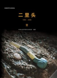 二里头:1999-2006(全五册) - 中国社会科学院考古研究所 编著