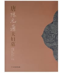 书籍 唐陈元通夫妇墓的封面