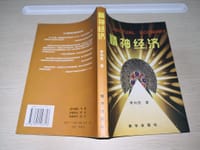精神经济 - 李向民