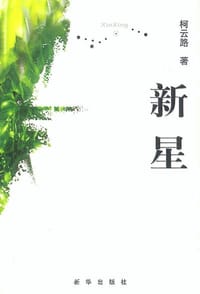 书籍 新星的封面