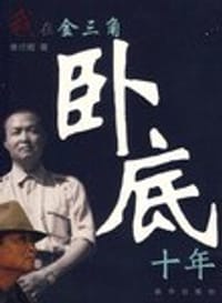 我在金三角卧底十年 - 傅衍鲲