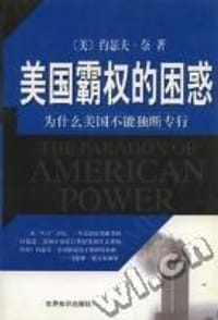 书籍 美国霸权的困惑的封面