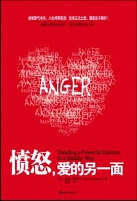 书籍 愤怒，爱的另一面的封面