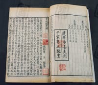 书籍 王状元集百家注分类东坡先生诗的封面