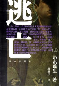 书籍 逃亡的封面