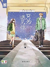 只为遇见你 - 林小小