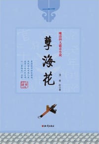 书籍 孽海花的封面