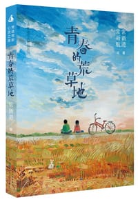 书籍 青春的荒草地的封面