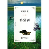 书籍 鸭宝河的封面