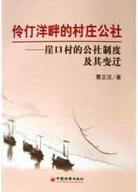 书籍 伶仃洋畔的村庄公社的封面