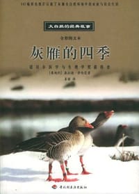 书籍 灰雁的四季的封面
