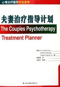 书籍 夫妻治疗指导计划的封面