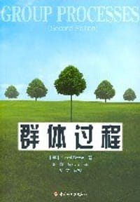 群体过程